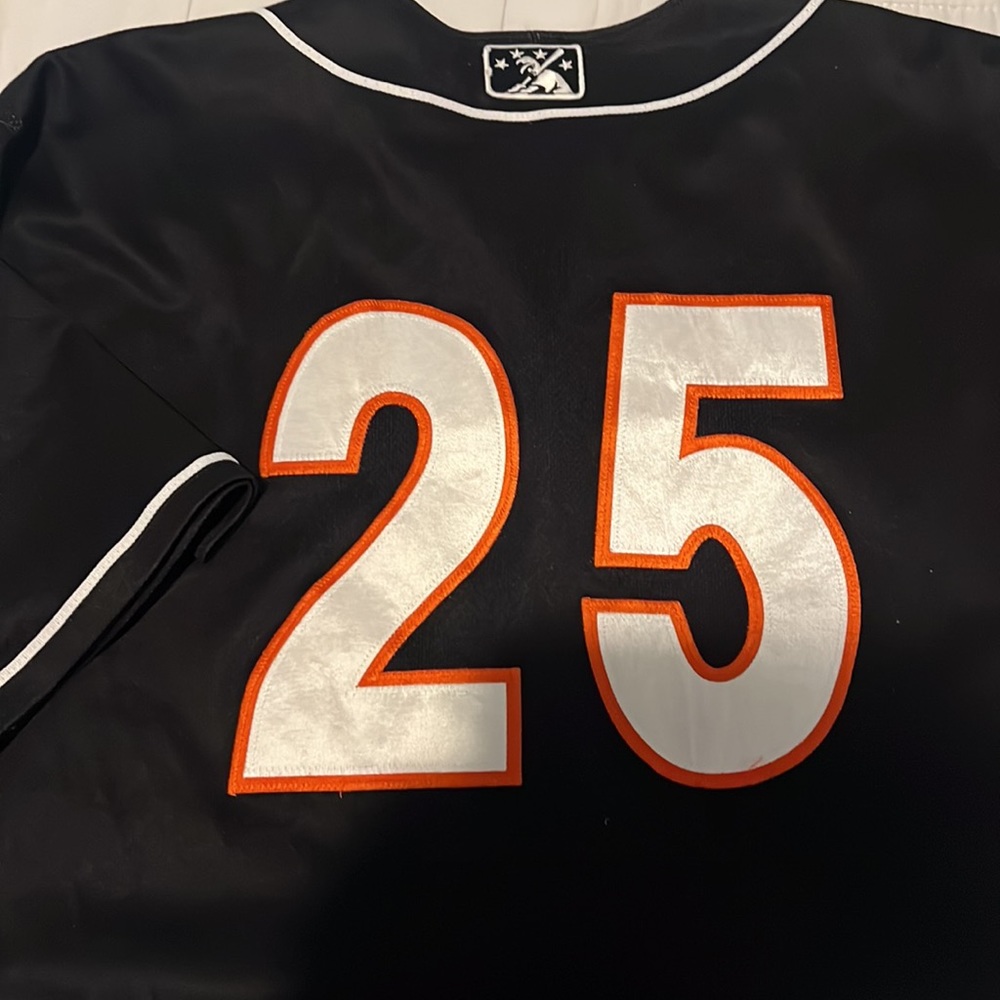 Jupiter Hammerheads Game used #25 Jersey - Picture 2 of 4